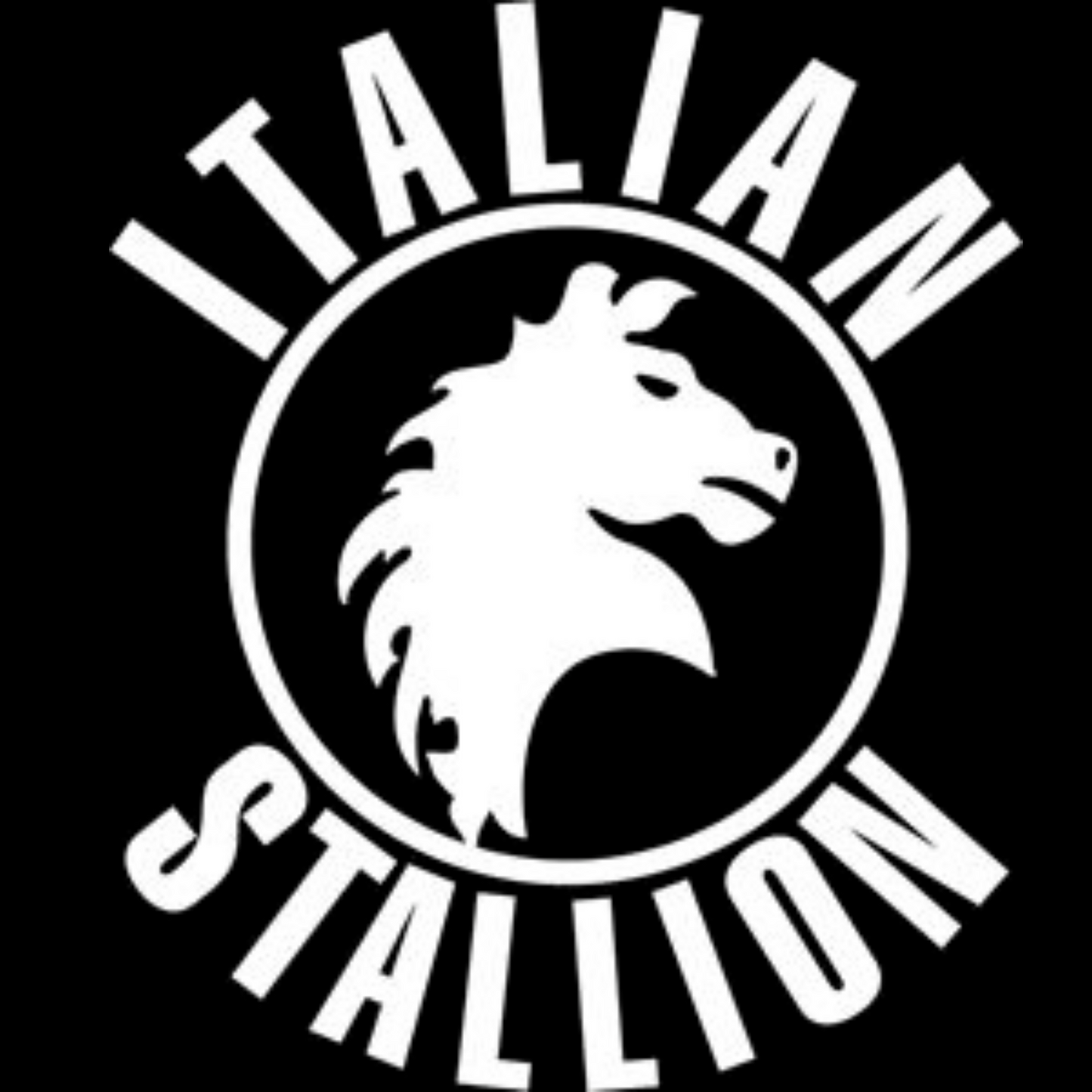 Camiseta Dry-Fit Rocky - Garanhão Italiano
