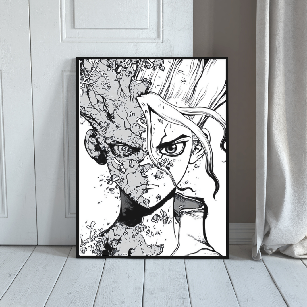 Quadro Dr Stone