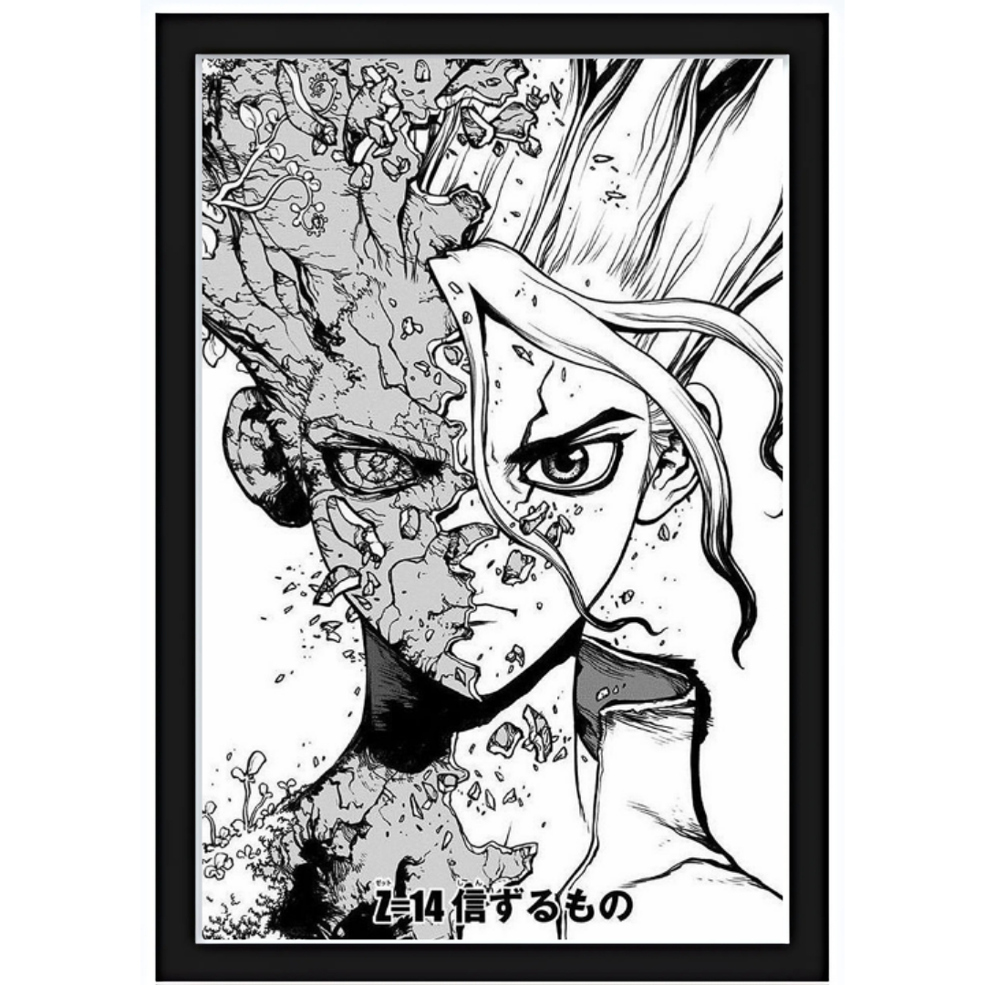 Quadro Dr Stone 15X20cm