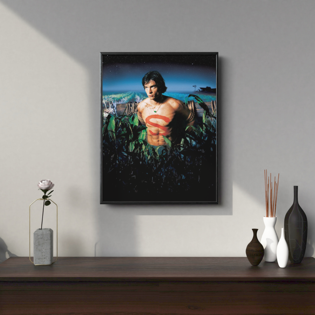 Quadro Smallville 2