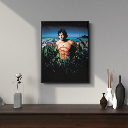 Quadro Smallville 2