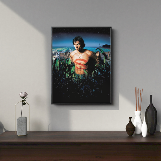 Quadro Smallville 2