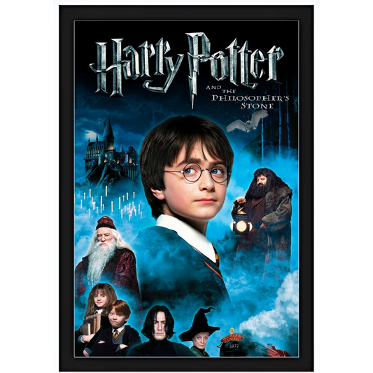 Quadro - Harry Potter - E a Pedra Filosofal 15X20cm