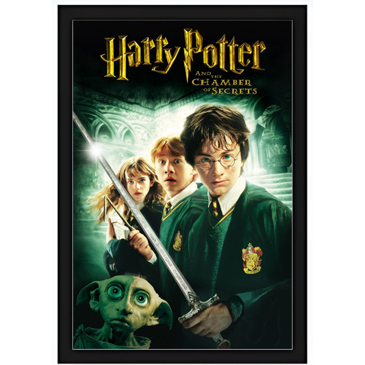 Quadro - Harry Potter - E a Câmara Secreta 15X20cm