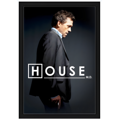 Quadro Doctor House
