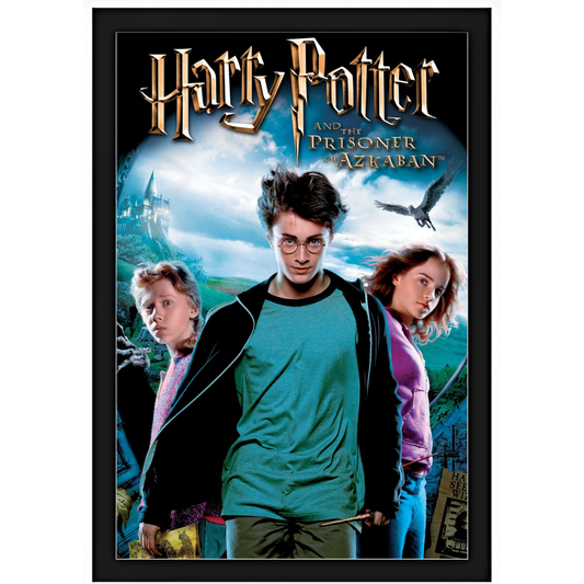 Quadro - Harry Potter - E o Prisioneiro de Azkaban 15X20cm