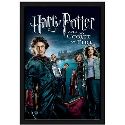 Quadro - Harry Potter - E o Cálice de Fogo