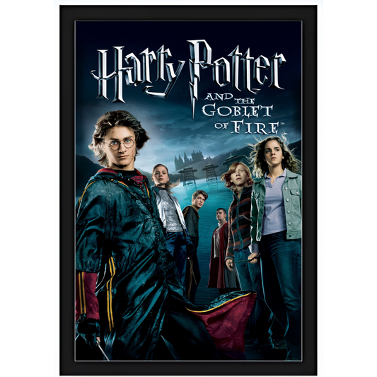 Quadro - Harry Potter - E o Cálice de Fogo 15X20cm