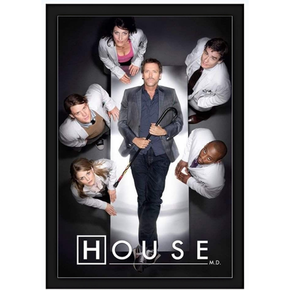 Quadro Dr House