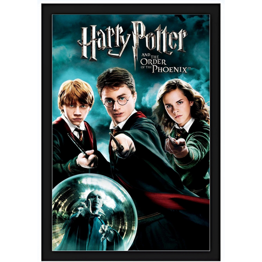 Quadro - Harry Potter - E a Orden da Fênix 15X20cm