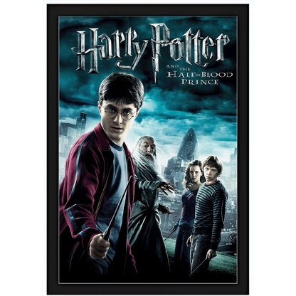 Quadro - Harry Potter - E o Enigma do Príncipe