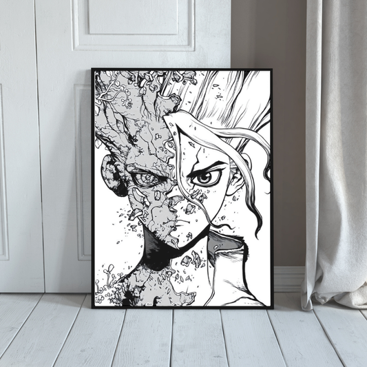 Quadro Dr Stone