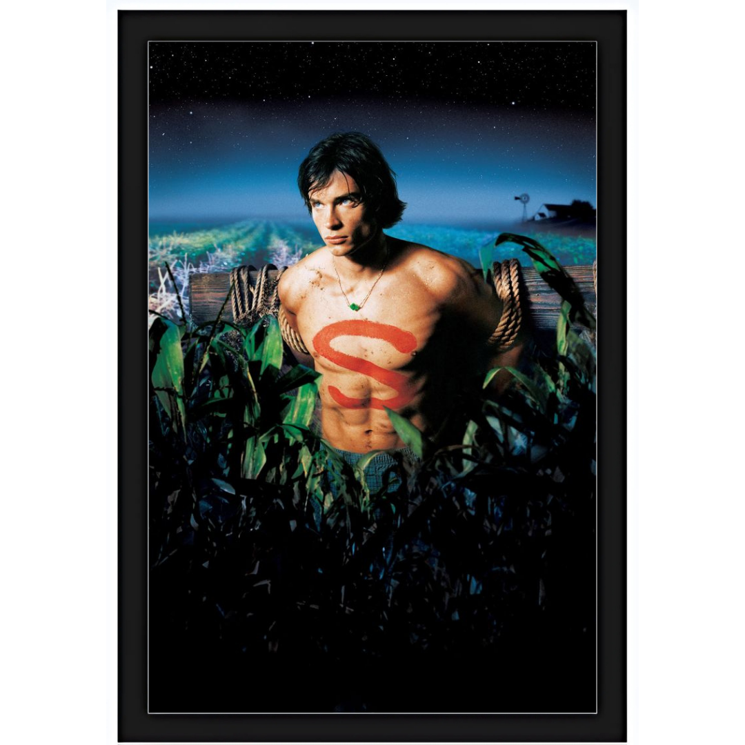 Quadro Smallville 2