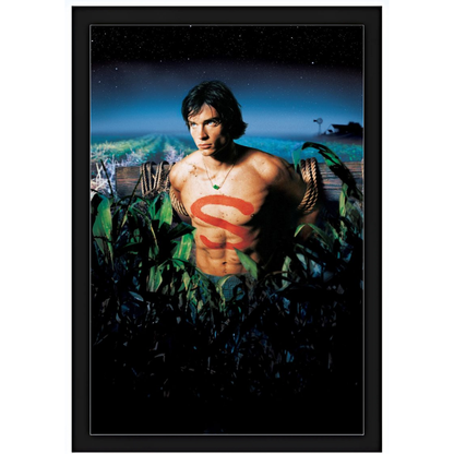 Quadro Smallville 2