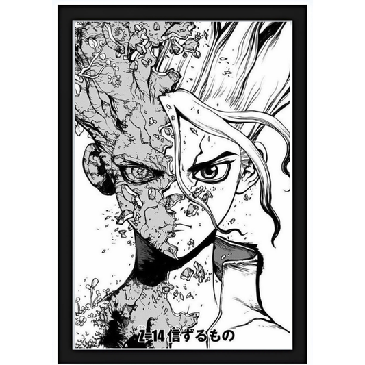 Quadro Dr Stone 15X20cm